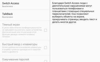 Switch access перевод на русский